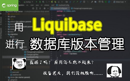 用Liquibase进行数据库版本管理