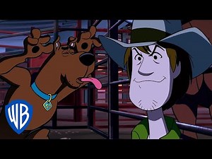 Scooby-Doo! | Shaggy & Scooby: The Bronco Pros | WB Kids