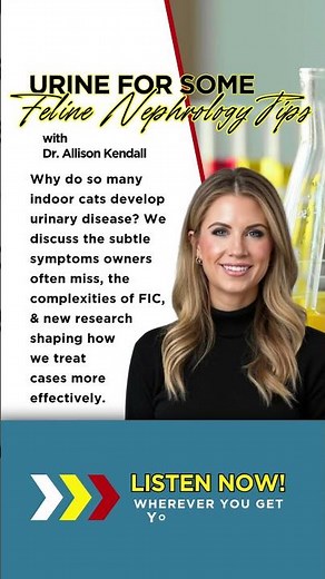 Urinary Disease in Cats: Modern Treatments & New Research with Dr. Allison Kendall - Purr Podcast