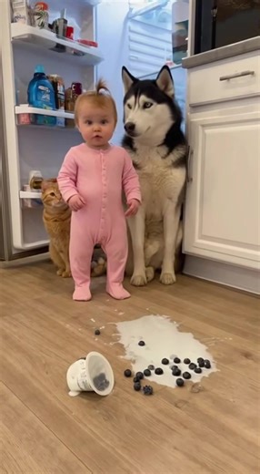 Cute baby and pet🥰 #baby #newborn #cute #adorable #funny