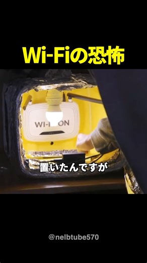 Wi-Fiの電波で「植物が枯れる」実験結果が怖すぎる件