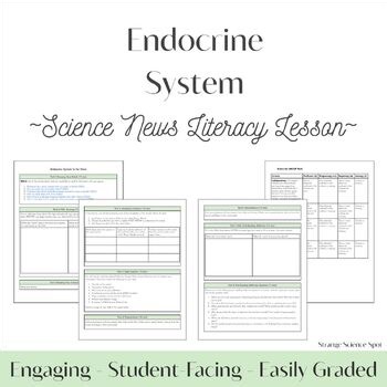 Endocrine System Literacy Lesson | Grades 9-12
