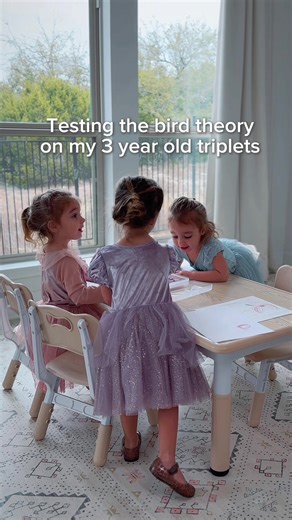 Bird theory on my triplets 😆#birdtheory #tripletmom #kidsbelike | bird theory