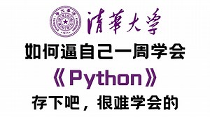 【整整348集】强推！2024最全最细自学Python零基础全套教程，包含所有干货！一个月学完编程技术猛涨！从零基础小白到精通Python全栈只要这套就够了！