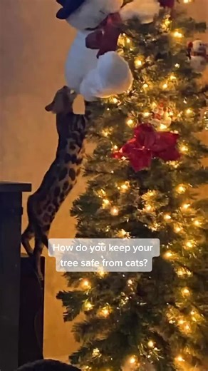 Share some ideas on the comments on how you