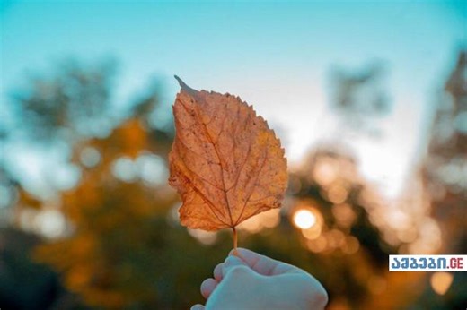 მზე და +18 გრადუსი: როგორი ამინდი შენარჩუნდება საქართველოში უახლეს დღეებში - პროგნოზი ქალაქების მიხედვით