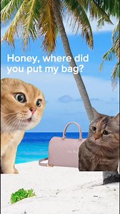 2.2K views | #cat walked over our keyboard now she’s teaching us bag care. Cats just loooove their sandboxes. Bags? Keep them a mile away. Sand immediately ruins even hard surfaces, what more with delicate leathers? #luxurybags #bagcare #summer #luxurybeachbags #summerph #bagtok #cats #cutecats #catmemes | The Bag Hub | Facebook