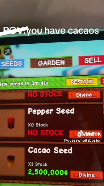 Grow a Garden: Cacao and Cocoa Plant Tips