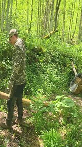 4.3K views · 53 reactions | Building Survival Shelter and Catch_Cook in Thunderstorm _ Solo Bushcraft | Alaska Prepper | Facebook