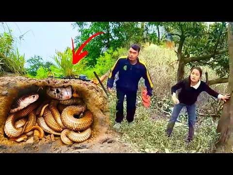 The SHOCKING Truth About Catching Snakes By Hand