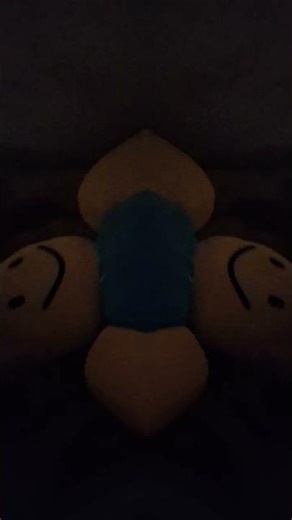 you like my noob roblox toy?