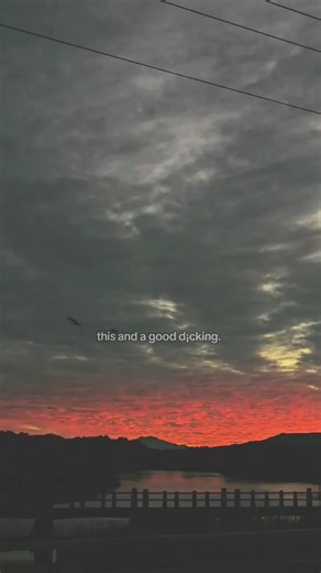 Crystal ♡ (@clearlycrystalcoded)’s videos with original sound - BigFoot