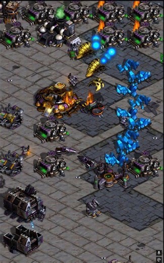 Brain storm AND reaver droppin'! | #falconpaladin #starcraft #broodwar #gaming #pcgaming