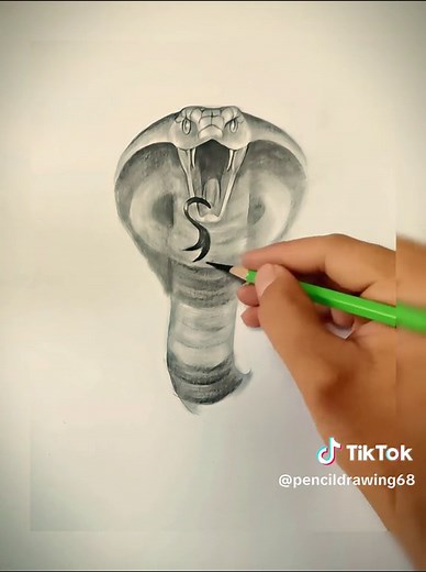 How to Draw a Snake: Pencil Drawing Tutorial
