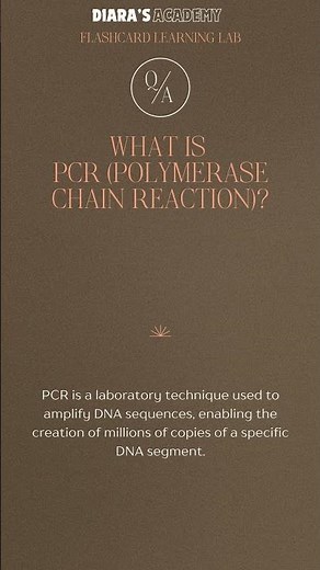 What is PCR Polymerase Chain Reaction ‪@Diarasacademy‬