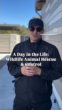 Day in the Life - Wildlife Animal Technician