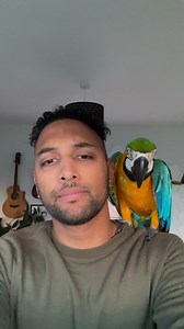 176K views · 5K reactions | How to stop a macaw from biting tutorial… ...#mikeyandmia #macaws #parrots #bite #parrotbite #macawbite #tutorial #woof #dog #bark #mimic | Mikey and Mia | Facebook