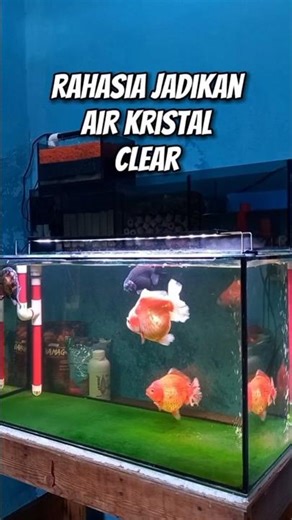Rahasia Kristal Clear