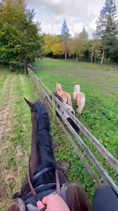 A day in the life of an equestrian before a compeition day 🏇 What's your morning routine? 👇 | Equus