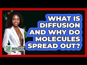 What Is Diffusion And Why Do Molecules Spread Out? - Biology For Everyone