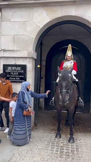2M views · 6.8K reactions | Super duper hilarious day at horse guard's In London! #hilarious #kingsguards #royalguard #horseguards #comdey #funny #london #pranks #england #fbvirals | The Royals King's Guard's England | Facebook