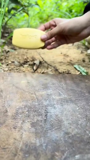 449K views · 3.9K reactions | Survival skills Simple and Useful save Water Soaps camping Smart show #OutdoorAdventure #bushcraft #SurvivalStory #outdoors #camping | Halic Survival | Facebook