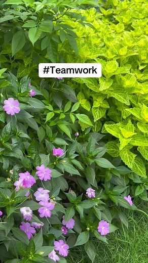 The Power of Teamwork: Achieve Together in 5 Minutes