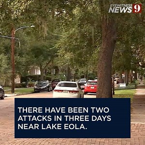 10K views · 41 reactions | There have been two attacks in three days near Lake Eola. Channel 9 reporter Steve Barrett will have a live update on Eyewitness News starting at 5 p.m. | WFTV Channel 9 | Facebook