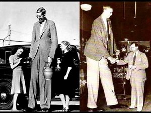 10 Amazing True Life Giants