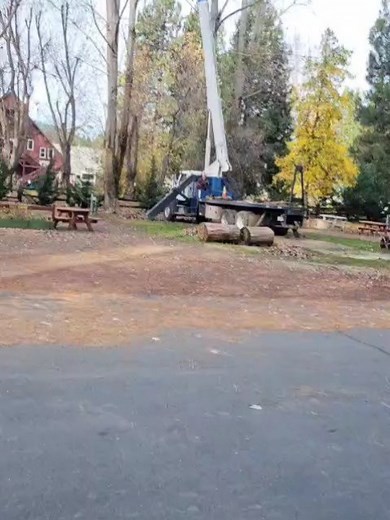 McCloud RV Resort on Reels