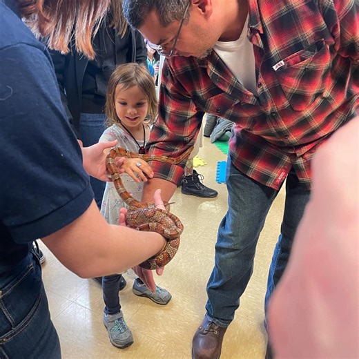 167 reactions · 29 shares | Bring the kids to WonderLab and meet live animal ambassadors from WildCare! | WonderLab Museum | Facebook