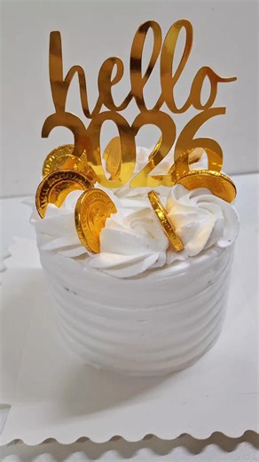 Hello 2026 we are ready 🎇🎆 | Chubby Cheeks