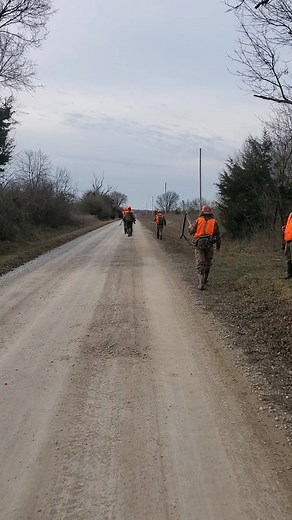 5.6K views · 110 reactions | Yall needs to spread out too many close together #tooclose #spreadout | Catron's Kennel | Facebook