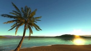 Tropical Beach Background Loop