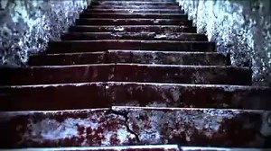 INTRONAUT - Australopithecus