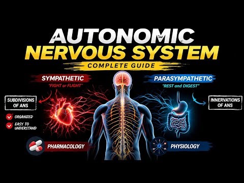 Autonomic Nervous System|Sympathetic|Parasympathetic|Innervation of ANS|Pharmacology and Physiology