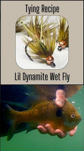 Deadly Trout, Panfish & Carp Fly – Free Tying Recipe! #FlyTyingAddict #TroutFlies