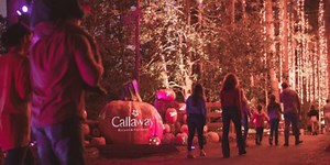 Pumpkins at Callaway returns for fall season at Callaway Gardens and Resort