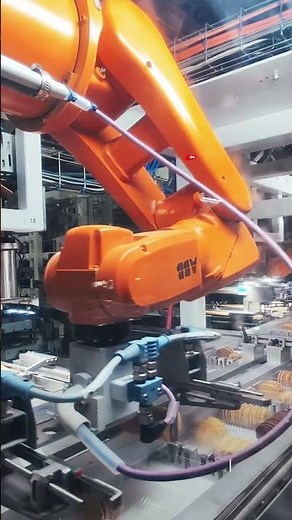 Arnott's Automated Biscuit Packing Line | Precision Pick & Place