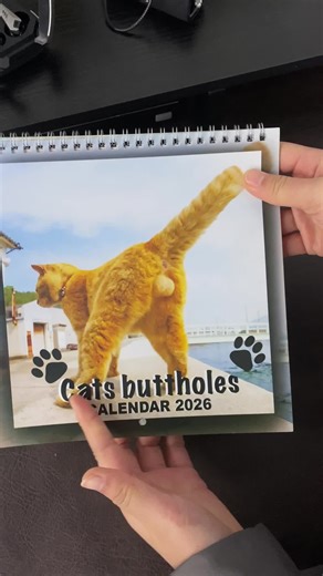 This 2026 Fun Cat Calendar, the forerunner of daily joy! In the morning rush, a quick glance at it will start your day with a smile. During coffee breaks, flipping through its pages reveals the world of feline shenanigans. Whether it's on your desk at work to brighten up the cubicle or on your nightstand to welcome the day, it spreads joy. Wouldn't you want to own this source of daily entertainment? Don't miss. it. Grab it now! #giftguide #treasurefinds #wallcalendar #gifts for her #uniquegiftid