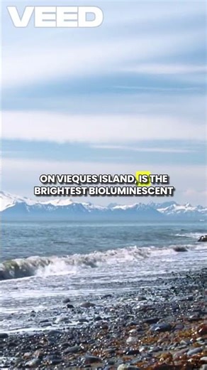 Bioluminescent Bays Explained | The Ocean That Glows at Night (Puerto Rico)