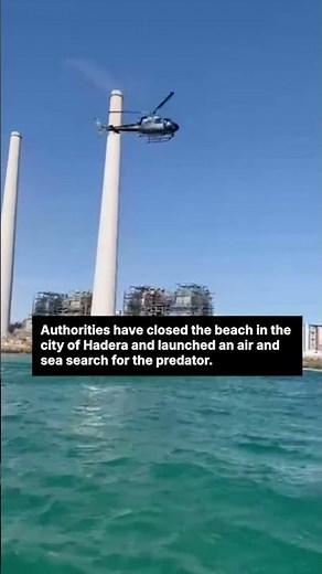 Swimmer missing after rare shark attack off Israel’s coast