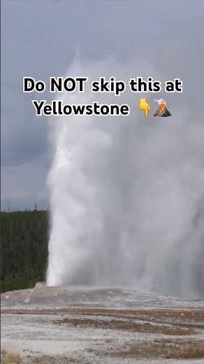 The MOST Faithful eruption in Yellowstone 🤯🌋