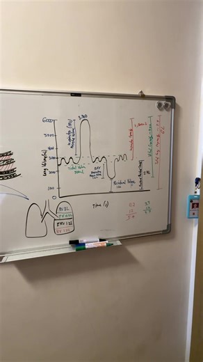 Study with me Review of Lung Volumes and Capacities