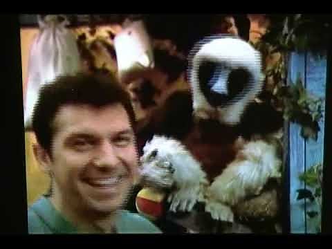 Zoboomafoo Jokes: Eagle & Duck