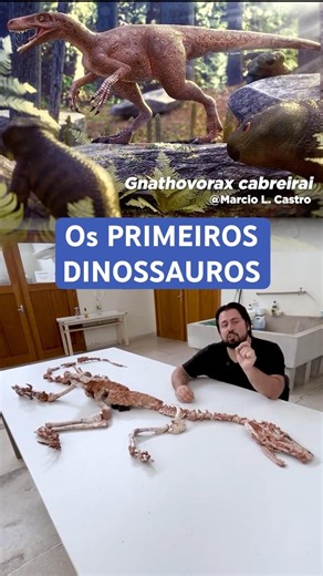 The oldest DINOSAURS in BRAZIL #curiosities #dinosaur