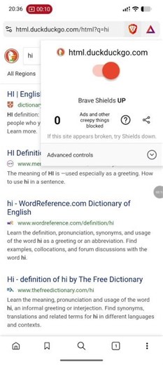 block scripts brave browser