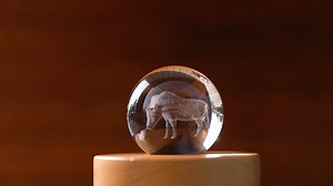 Watch 3d Laser Engraving Bull - Wall Street Bull with Stand on Amazon Live