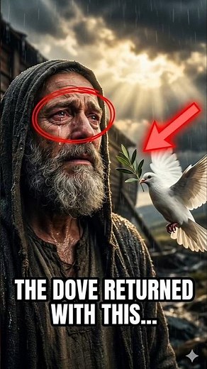 The Hidden Meaning Behind Noah’s White Dove 🤔 #bible #faith #god #shorts