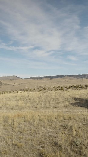 You asked for a sale. We delivered the biggest one in GFC history. Up to $1,979 off your new camper. Anniversary pricing won’t be back—ever. Build your rig and lock your install date now! | Go Fast Campers